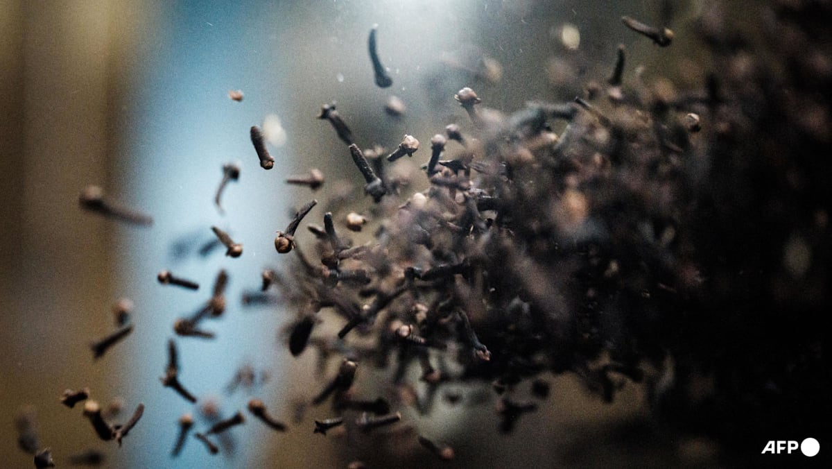 Indonesia detects traces of radiation at clove farm as probe expands