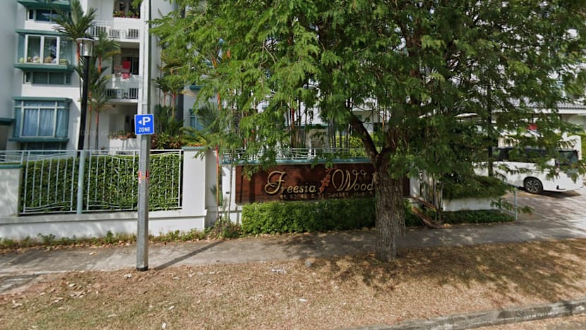 Couple sues condominium management over termite damage, wins in what appears to be first such case Couple sues condominium management over termite damage, wins in what appears to be first such case