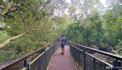 CNA explores Singapore on foot (Day 4):  Getting into hot water and searching for crocs
