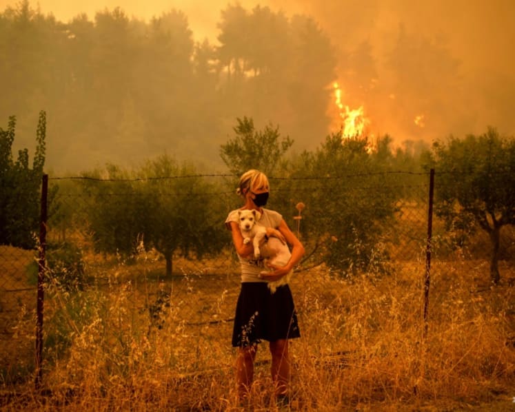 Commentary: Current adaptations to climate change won't be enough to save our planet