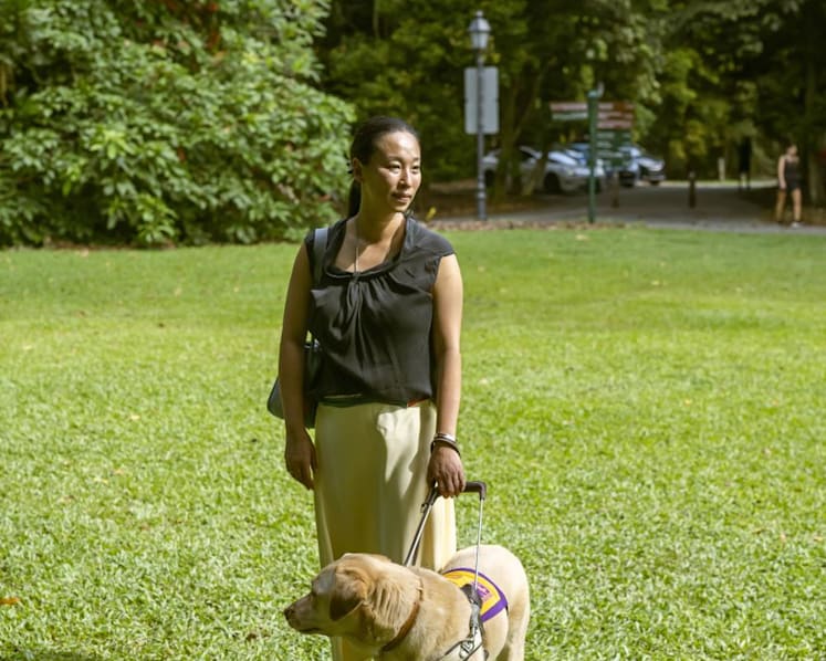 Commentary: True inclusivity in S'pore needs strong 'brains, limbs, arteries' — a blind advocate's personal take