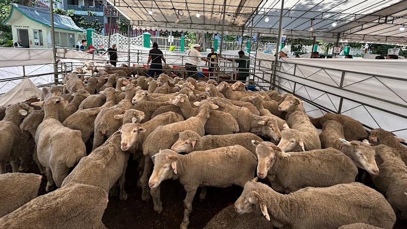 Pendaftaran Korban SalamSG sudah dibuka, lagi dua masjid sertai korban tempatan 