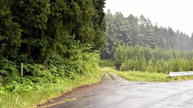 熊胃中发现人体残肢 确认为78岁日本男子
