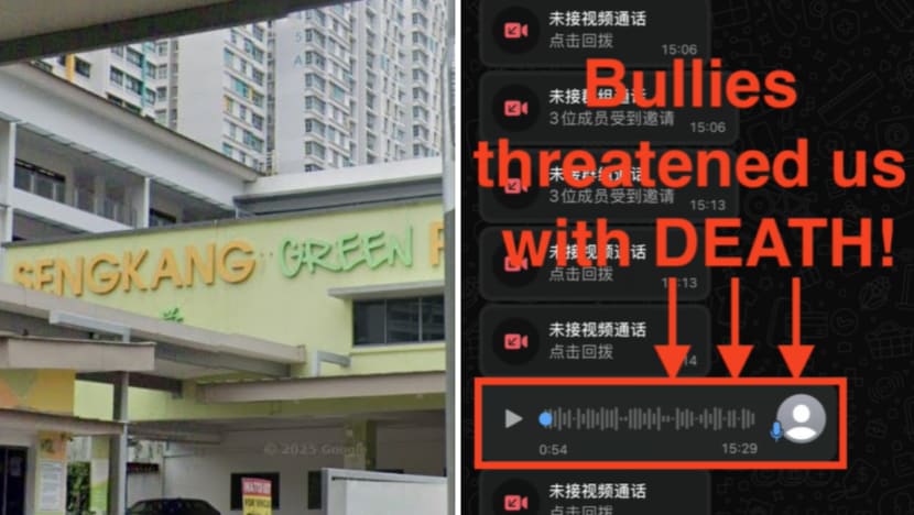 Three Sengkang Green Primary 3 students suspended after threatening to kill classmate and her family Three Sengkang Green Primary 3 students suspended after threatening to kill classmate and her family