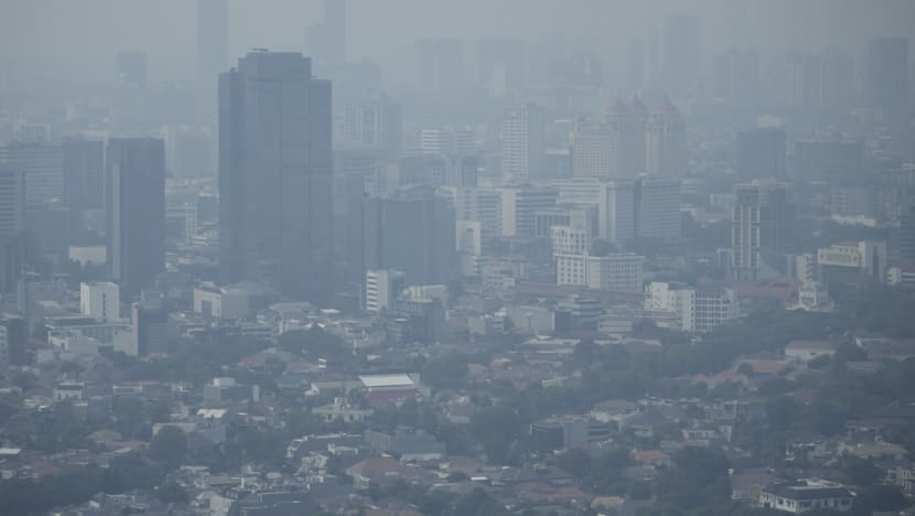 Polusi sebabkan penyakit pernapasan, Indonesia gerak cepat tangani pencemaran udara Jakarta