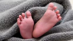 Related article image