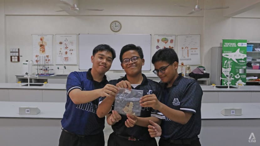 Atasi masalah sampah, pelajar di Malaysia coba ubah rumput laut jadi bioplastik