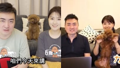 YouTuber With Over 6mil Fans Takes Indefinite Break To Care For Ill Dog