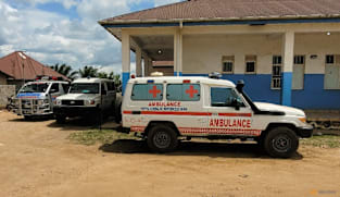 Ebola and hantavirus outbreaks sign of our 'dangerous' times: WHO