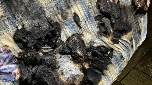 疑因宠物狗意外启动吹风筒 英国民宅起火