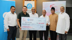Related article image