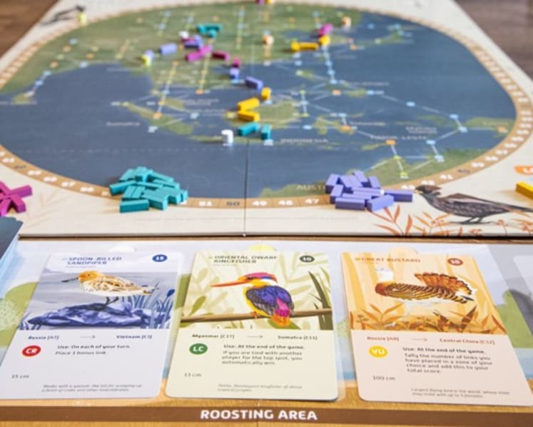 Forget Angry Birds, protect Asian birds: New Singapore board game funded by Kickstarter supports an 'urgent' cause