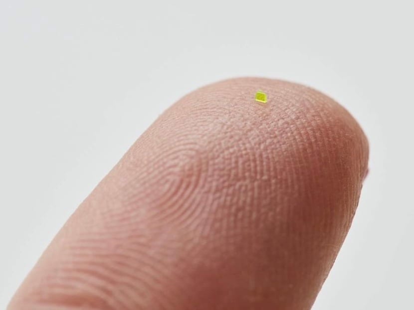 A handbag for ants? Louis Vuitton-inspired microscopic bag sells for over S$85,000 at auction