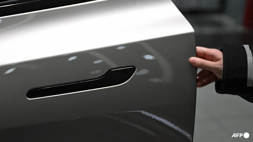 Singapore monitoring 'relevant standards' amid safety concerns over hidden car door handles