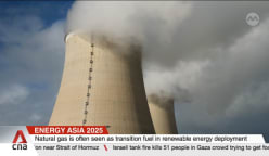 Asia's push towards renewables driven by necessity to diversify beyond fossil fuels