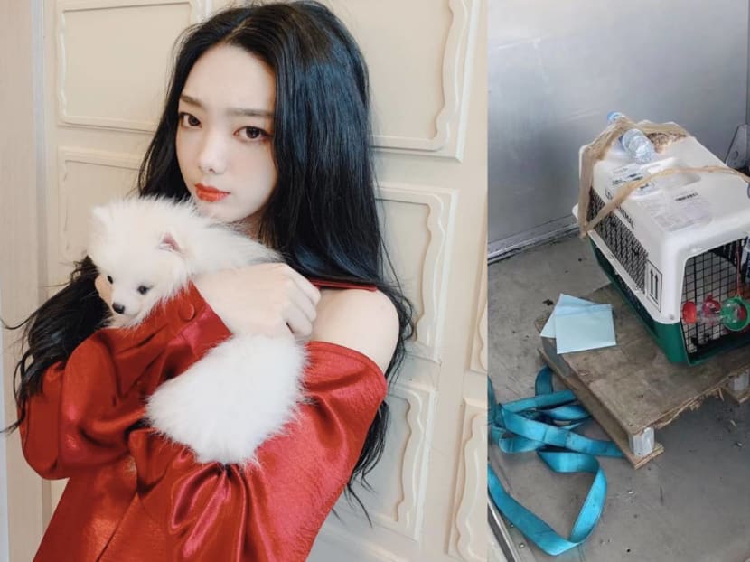 Singer Mimi Lee&rsquo;s Pet Dog Died On A Flight To China &mdash; She&rsquo;d Arranged For The Pooch To Be Flown From Thailand To China So They Could Reunite After 2 Years