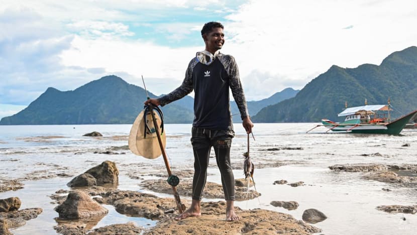 A Philippine tribe is fighting to protect their land. The ripples could affect us all