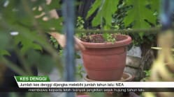 Related article image