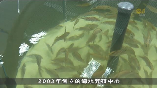 海水养殖中心预计明年初起 分阶段进行翻修和提升工程