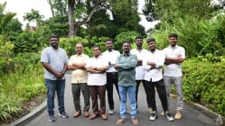 Related article image