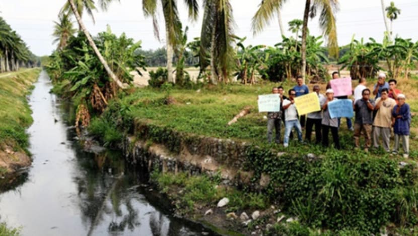 Penduduk kampung ini sudah 40 tahun dibelenggu bau busuk najis babi
