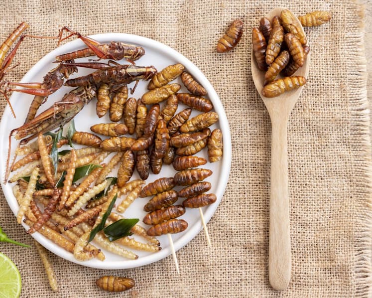 Grasshoppers and superworms among 16 insect species approved as food in Singapore