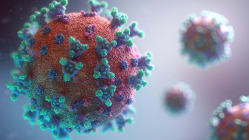 Related article image