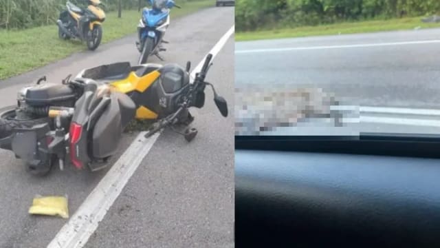撞上野猪尸体 马国摩托车骑士身亡 