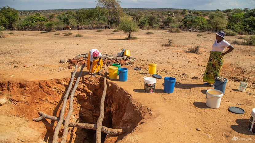 Warming El Nino may return later this year: UN