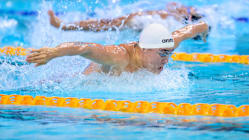 Related article image