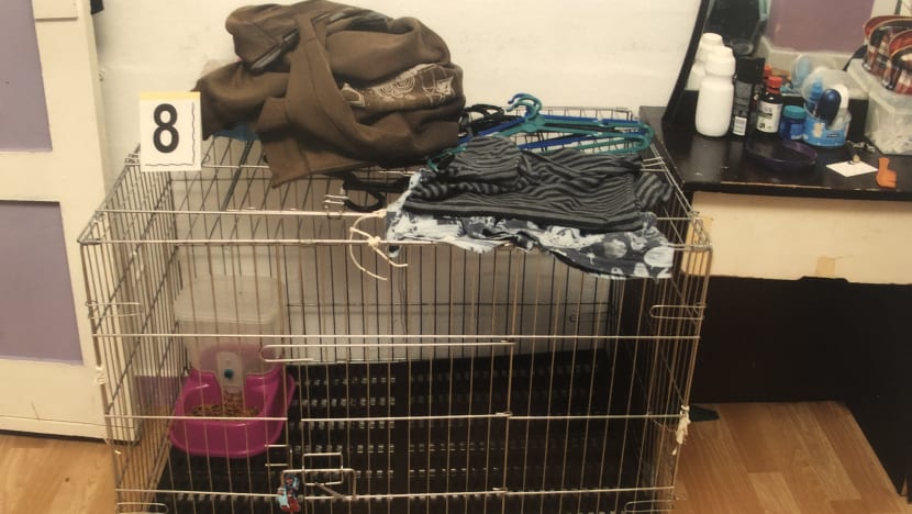 Alleged murder of 5-year-old boy: His skin turned yellowish and whitish from burns