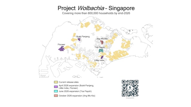 伊蚊绝育计划将扩大至多五个地区 涵盖全国半数家庭