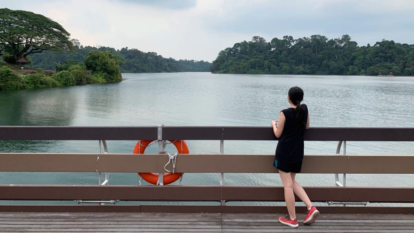 Commentary: Beyond scarcity and security, does Singapore need a new water narrative?