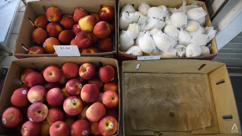 Pemerintah mahu kekalkan pertumbuhan gaji, pelbagai import makanan di tengah kos meningkat - Low Yen Ling