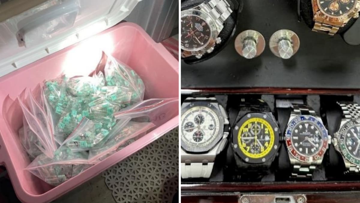 5 arrested in CNB operation; Over 1,200 Kpods seized