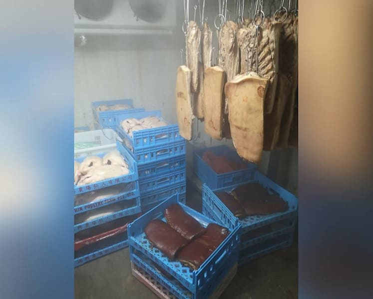 Meat processing company fined for 'multiple lapses' including widespread cockroach infestation