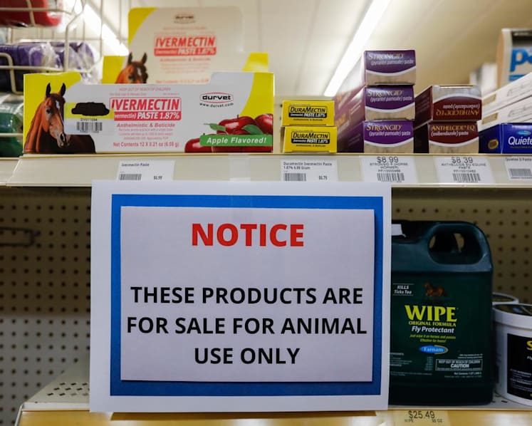 Some S’poreans buy ivermectin online to treat Covid-19 though experts warn it is unproved, potentially dangerous
