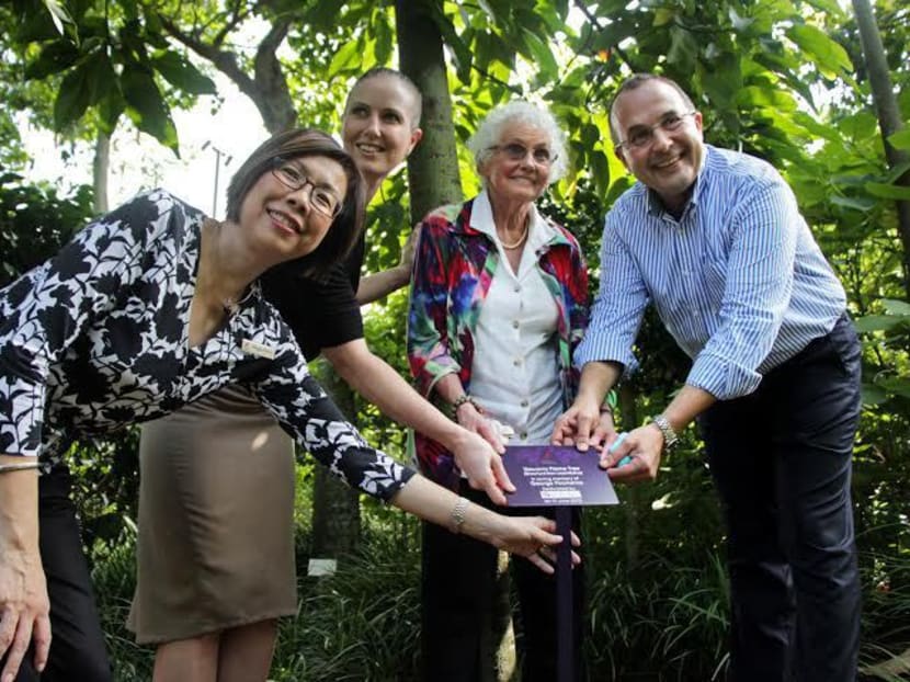 Australian is first person to adopt a tree at Gardens by the Bay