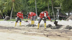 Related article image