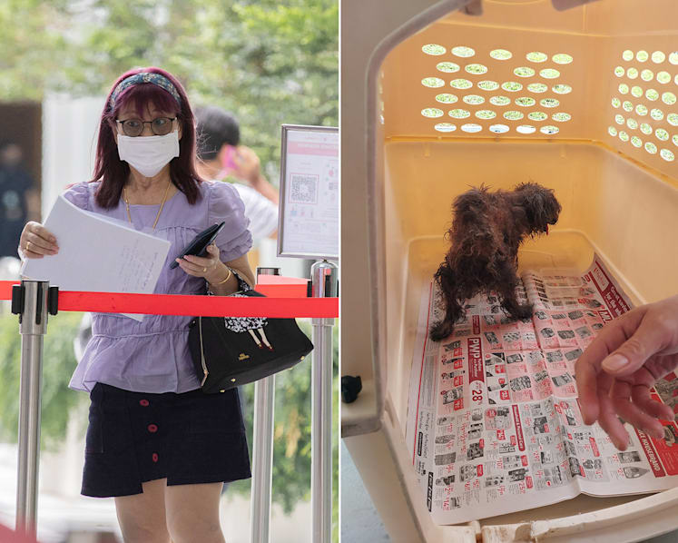 Woman gets S$5,000 fine, one-year pet ban after abandoning sickly old pet dog at void deck