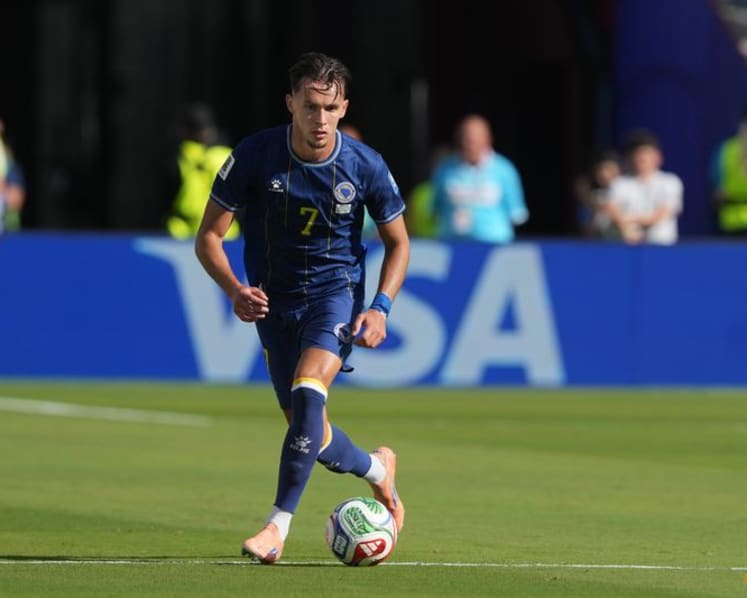 Newcastle sign Bosnian defender Dedic from Benfica