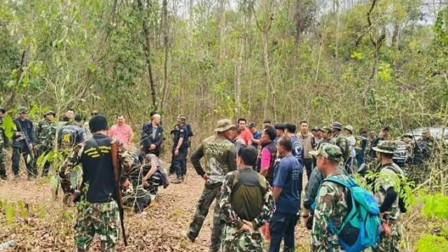 泰国村民采集资源 遭野生大象袭击死亡