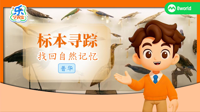 【普华】标本寻踪　找回自然记忆
