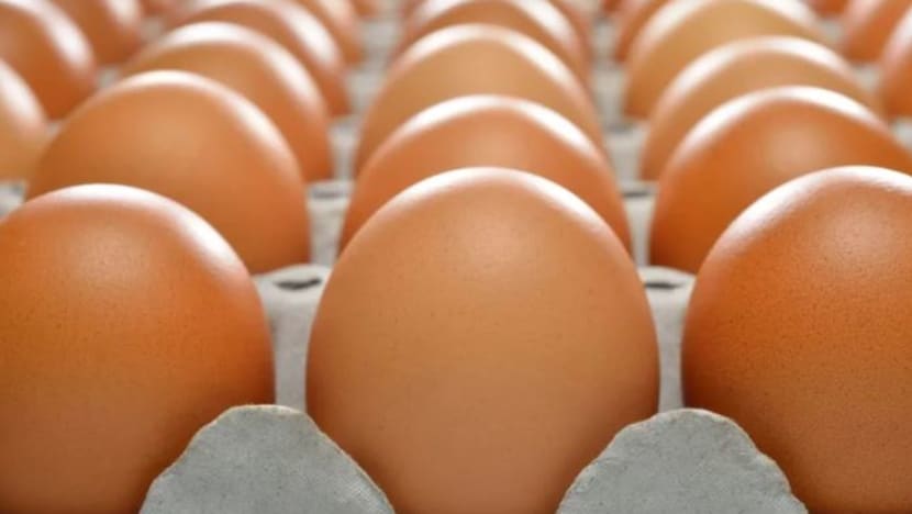 SG mula import telur dari Indonesia