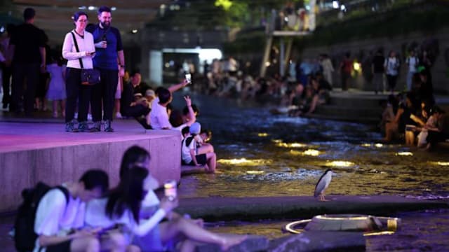 韩国热带夜天数创新高 夏季高温持续酷热