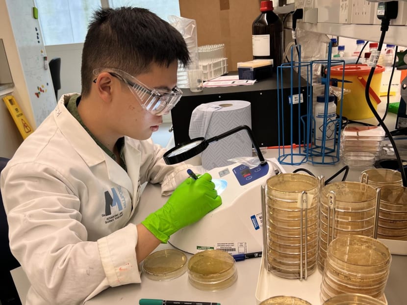 For Sylvester Lim, the significance of microbial therapeutics extends beyond public health: The prospect of being able to treat his own condition of IBS is inspiring. For Sylvester Lim, the significance of microbial therapeutics extends beyond public health: The prospect of being able to treat his own condition of IBS is inspiring.