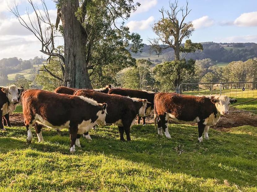 Turning ethical farming into an immersive travel experience just outside Sydney Turning ethical farming into an immersive travel experience just outside Sydney