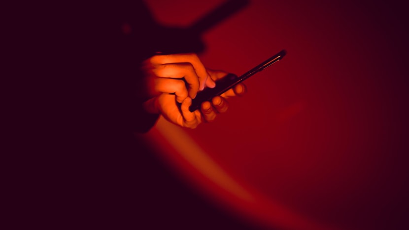 Singaporeans place equal onus on users and tech firms doing more to address online  harms: IPS study - CNA