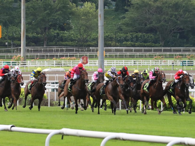 A race taking place at the Singapore Turf Club on June 11, 2023.