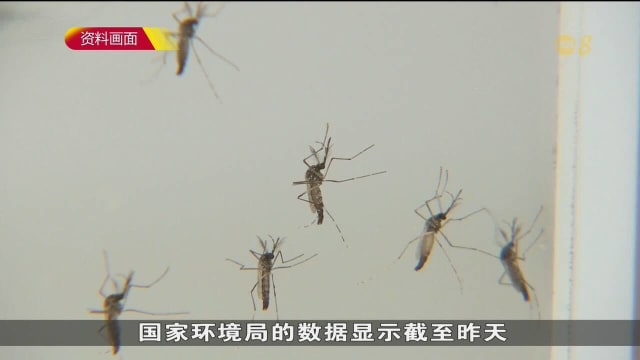 本地骨痛热症病例持续上升 活跃区增至25个